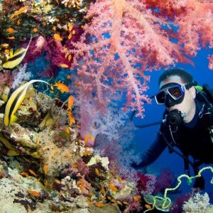 Intro Diving in Sharm El sheikh