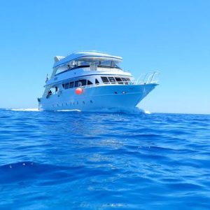 Private Boat trip in Red Sea – Snorkeling and Diving in Sharm el Sheikh