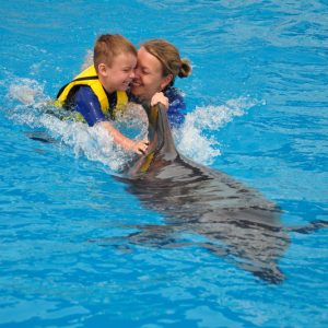 Swimming with Dolphins in Sharm el Sheikh