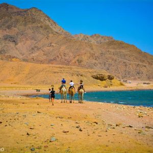 Dahab City Safari Excursion, Snorkeling