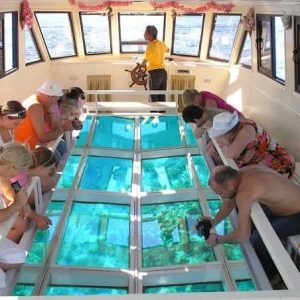 Glass Boat excursion in Sharm El sheikh